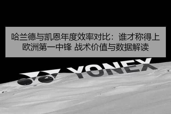 ha-lan-de-yu-kai-en-nian-du-xiao-lv-dui-bi-shui-cai-cheng-de-shang-ou-zhou-di-yi-zhong-feng-zhan-shu-jia-zhi-yu-shu-ju-1-105.jpg